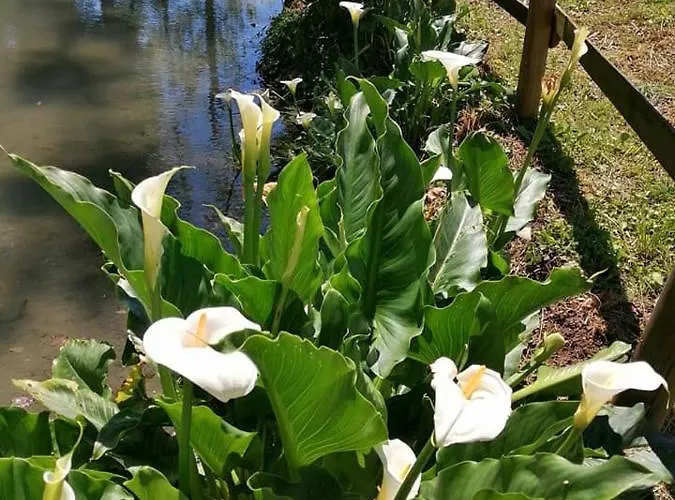 Agriturismo Trovatore *